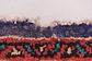 3' 5 x 10' Farahan Persian Runner Rug thumbnail