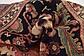 3' 7 x 9' 4 Hamedan Persian Runner Rug thumbnail