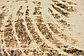 5' 2 x 7' Ultra Vintage Persian Rug thumbnail image 4