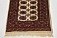 3' x 5' 7 Bokhara Oriental Rug thumbnail image 5