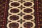 3' x 5' 7 Bokhara Oriental Rug thumbnail