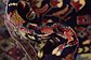 4' 6 x 5' 9 Yalameh Persian Rug thumbnail image 10