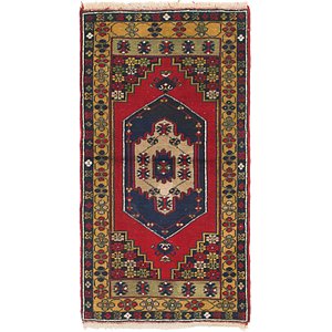 2' 9 x 5' Anatolian Rug