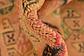 3' 3 x 5' Shiraz-Gabbeh Persian Rug thumbnail