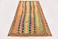 3' 4 x 6' 5 Shiraz-Gabbeh Persian Rug thumbnail