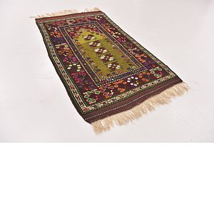 2' 9 x 4' 9 Anatolian Oriental Rug