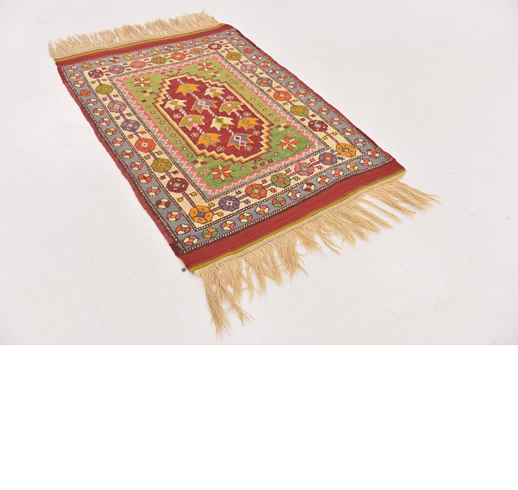 2' 9 x 4' Anatolian Oriental Rug