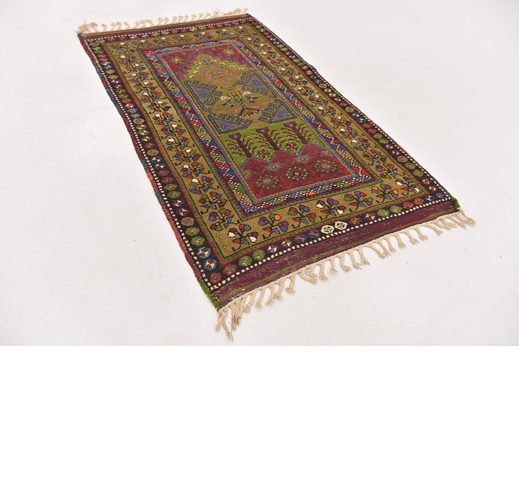 3' x 5' Anatolian Oriental Rug