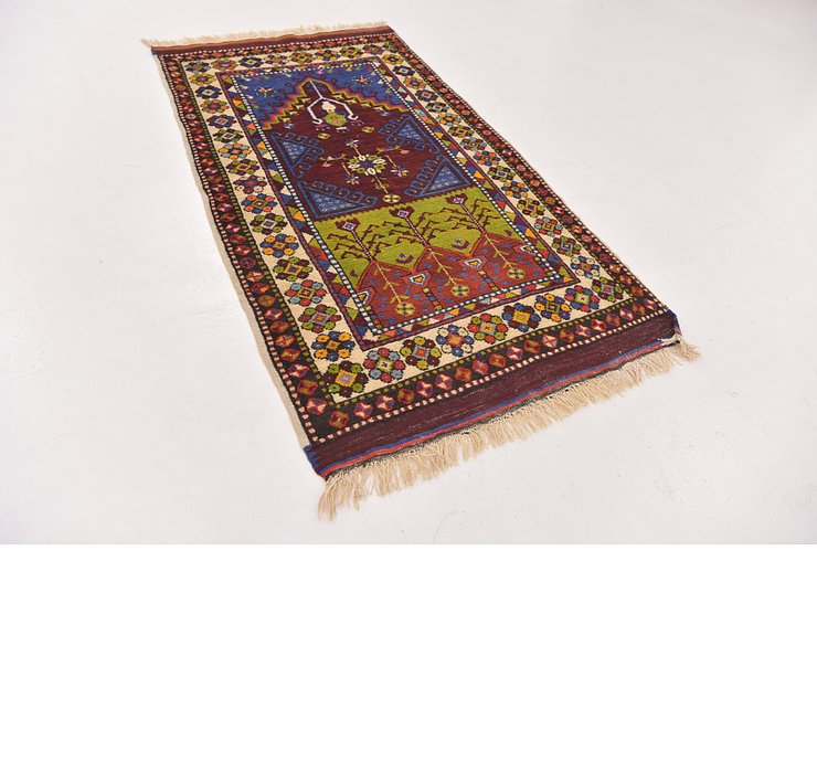 2' 9 x 5' Anatolian Oriental Rug