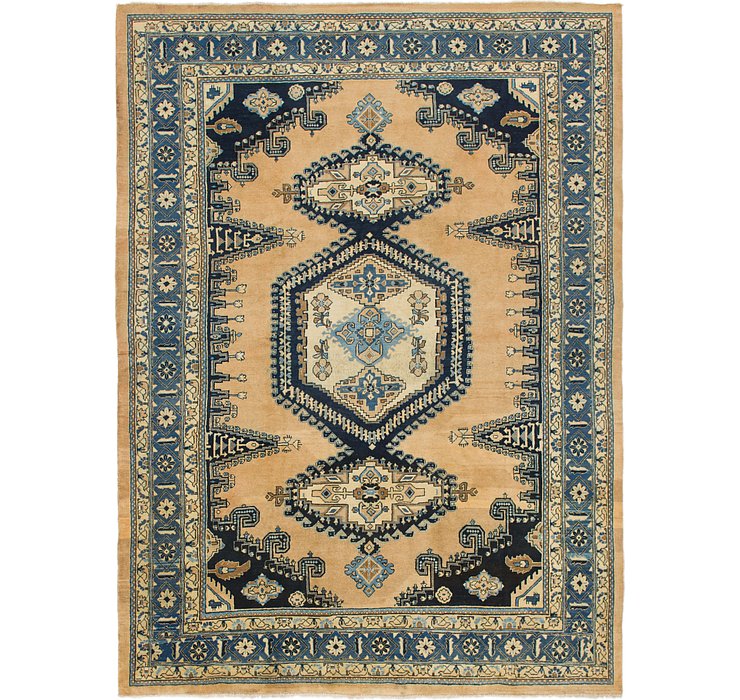 9' 8 x 13' Viss Persian Rug