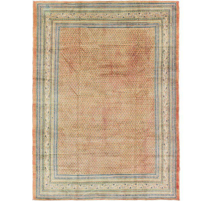 8' 9 x 11' 10 Botemir Persian Rug