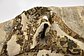 3' 4 x 3' 10 Ultra Vintage Persian Square Rug thumbnail image 9