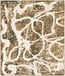 3' 4 x 3' 10 Ultra Vintage Persian Square Rug thumbnail image 1
