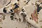 3' 7 x 6' 8 Ultra Vintage Persian Rug thumbnail image 8
