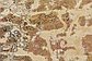 4' 8 x 6' 2 Ultra Vintage Persian Rug thumbnail image 4