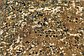 5' 6 x 7' 5 Ultra Vintage Persian Rug thumbnail image 4