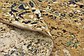 5' 6 x 7' 5 Ultra Vintage Persian Rug thumbnail image 7
