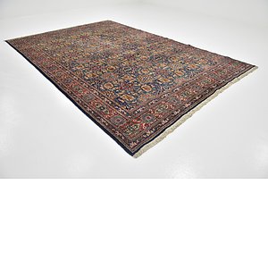 8' x 11' 8 Birjand Persian Rug
