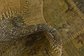 3' x 4' 4 Ultra Vintage Persian Rug thumbnail image 7