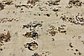 7' x 10' 5 Ultra Vintage Persian Rug thumbnail image 4