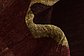 8' x 9' 8 Kashkuli Gabbeh Rug thumbnail image 10