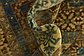 10' 2 x 14' Mamluk Ziegler Oriental Rug thumbnail image 10