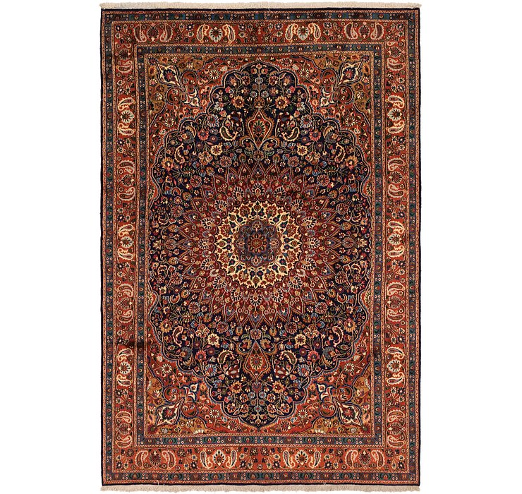 6' 7 x 10' Birjand Persian Rug