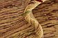 Unique Loom 4' 10 x 6' 7 Kashkuli Gabbeh Rug thumbnail image 10