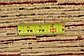 Unique Loom 4' 10 x 6' 7 Kashkuli Gabbeh Rug thumbnail image 11