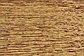 Unique Loom 4' 10 x 6' 7 Kashkuli Gabbeh Rug thumbnail image 4