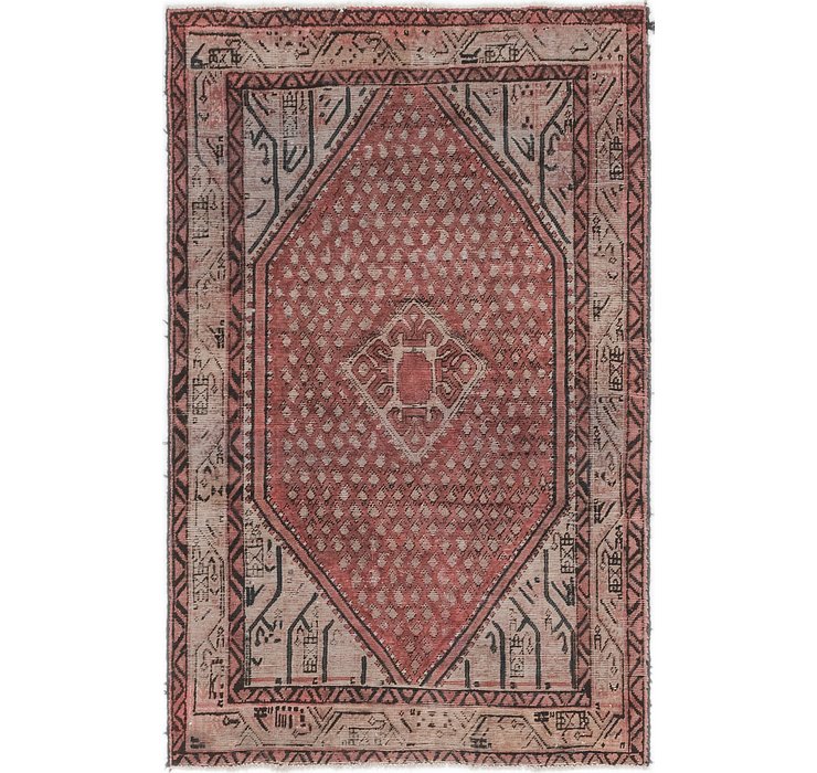 4' x 6' 6 Botemir Rug