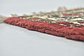 7' 5 x 11' Bakhtiar Persian Rug thumbnail image 7