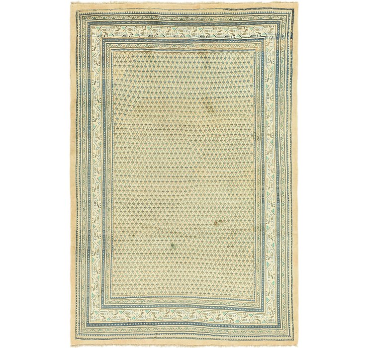 6' 7 x 10' Botemir Persian Rug