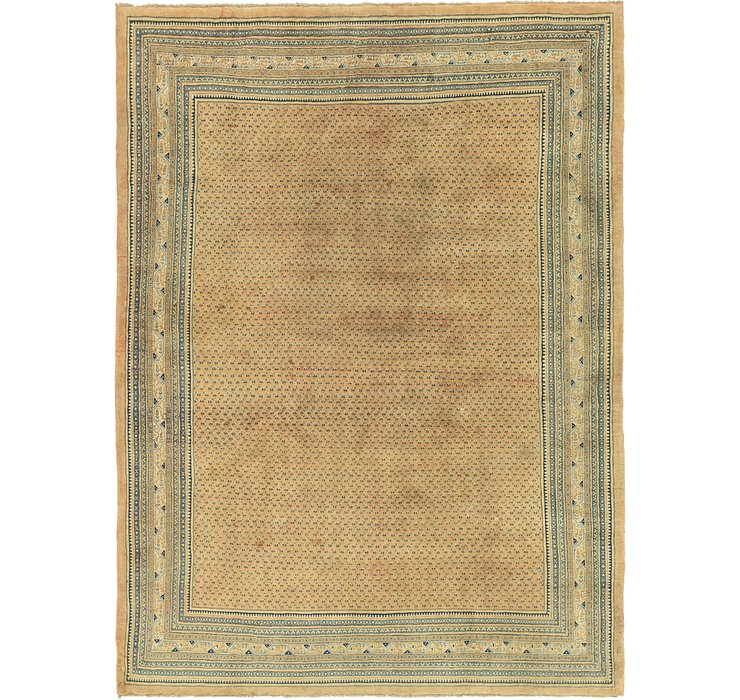 10' x 13' 4 Botemir Persian Rug