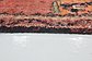 3' 9 x 7' 8 Shiraz Persian Runner Rug thumbnail image 8
