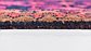 4' 3 x 10' 2 Koliaei Persian Runner Rug thumbnail image 7