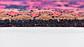 130cm x 310cm Koliaei Persian Runner Rug thumbnail image 7