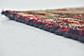 5' x 9' 10 Hossainabad Persian Runner Rug thumbnail