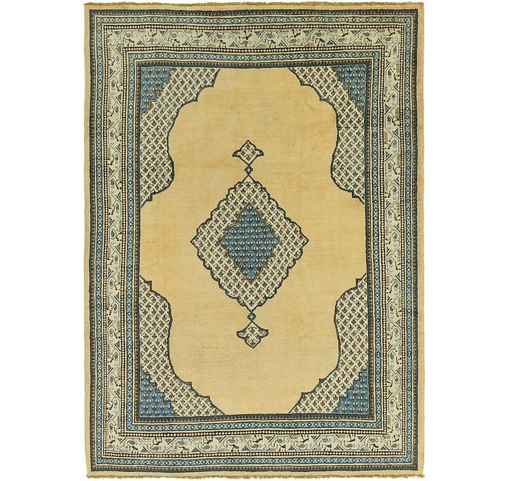 8' 3 x 11' 10 Botemir Persian Rug