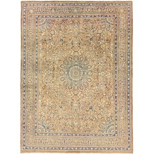 9' 9 x 13' Mashad Persian Rug