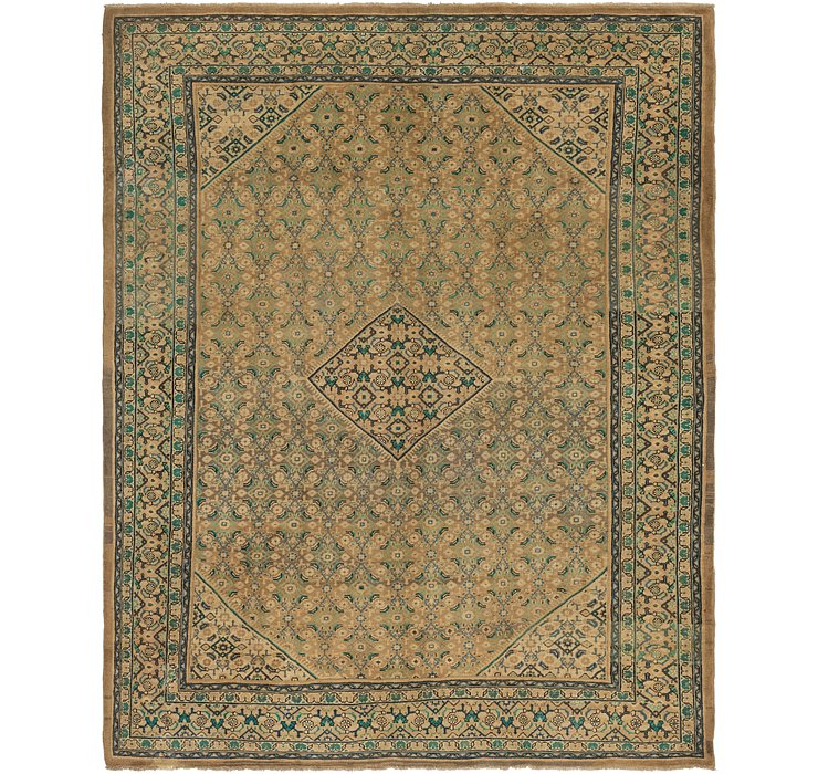 10' 2 x 13' Farahan Persian Rug