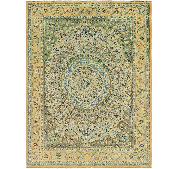 9' 8 x 12' 8 Birjand Persian Rug