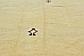 10' x 12' 4 Moroccan Rug thumbnail