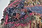 4' 9 x 7' 3 Moroccan Rug thumbnail image 9
