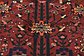 7' x 10' Bakhtiar Persian Rug thumbnail image 4