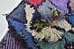 HandKnotted 3' 9 x 7' Moroccan Rug thumbnail image 9