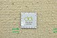 3' 8 x 6' 7 Moroccan Rug thumbnail image 10