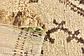 2' 9 x 6' 5 Moroccan Runner Rug thumbnail
