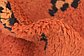 4' x 6' 2 Moroccan Rug thumbnail image 8