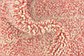 5' x 8' Moroccan Rug thumbnail image 7